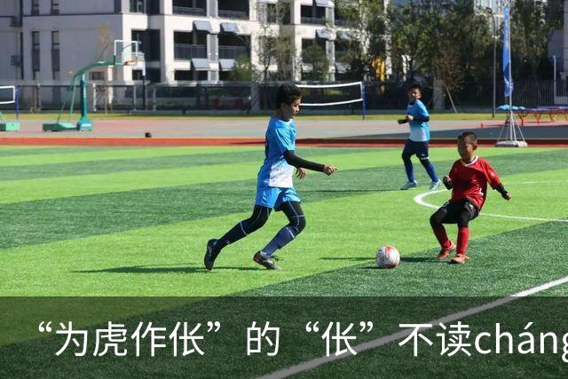 “为虎作伥”的“伥”不读cháng，我出过丑，现在牢牢记住了!