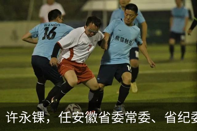 许永锞，任安徽省委常委、省纪委书记！卿泳，任宜宾市人大常委会党组书记！
